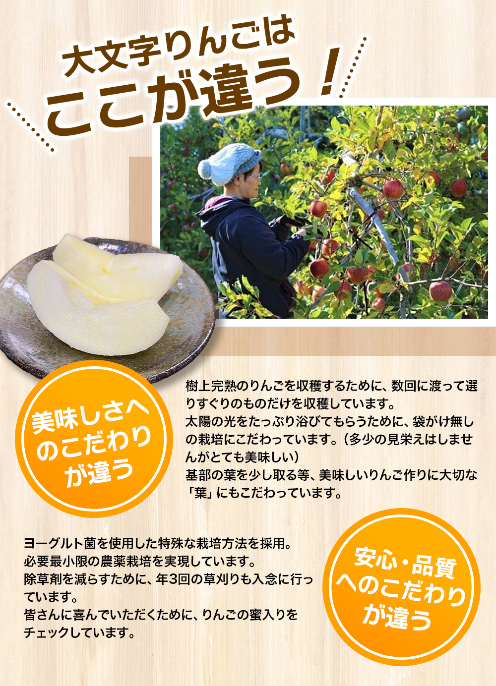 【令和6年度分予約受付】大文字りんご園 紅いわて 約3kg(7～10玉)【2024年9月20日頃～9月末にお届け】/ りんご リンゴ 林檎 果物 くだもの フルーツ 甘い 旬 産地直送 予約 先行予約