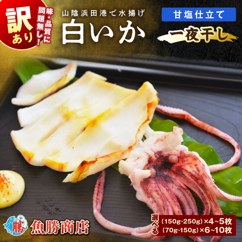 【ふるさと納税】【訳アリ】白いか一夜干し【150g〜250gx4〜5枚 70g〜150gx6〜10枚】