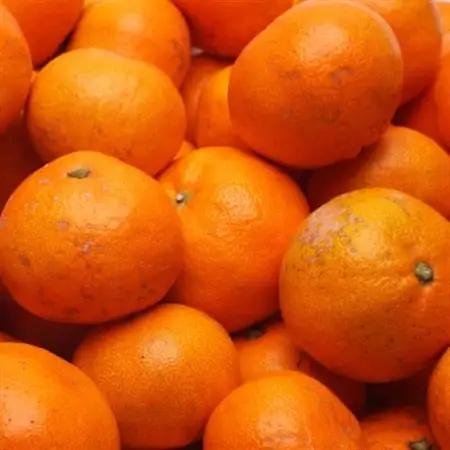 家庭用 有田みかん5kg+250g(傷み補償分)【光センサー選果】【訳あり】【配送不可地域：離島・北海道・沖縄県】【1313205】