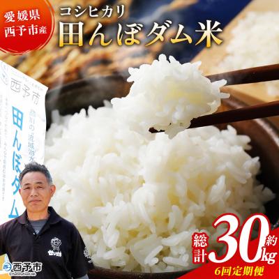ふるさと納税 西予市 <令和7年産 愛媛県西予市産 コシヒカリ 田んぼダム米 5kg 6回定期便　