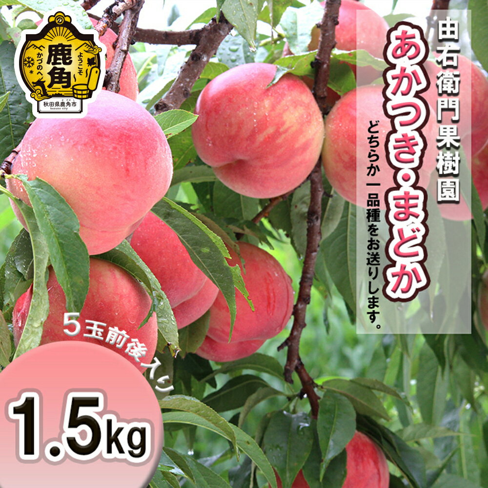 【ふるさと納税】 桃 《 先行予約 》 かづの北限の桃 「 あかつき / まどか 」 約 1.5kg ( 5玉前後入り ) 秋田県産 お盆 お見舞い 完熟 国産桃 先行予約 お歳暮 贈り物 贈答用 グルメ ギフト 故郷 秋田 あきた 鹿角市 鹿角 東北 北限 旬 送料無料 【由右衛門果樹園】