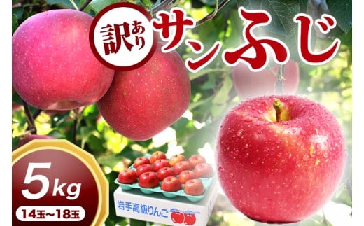 サンふじ 5kg 訳あり りんご 紫波町産 (DV054)