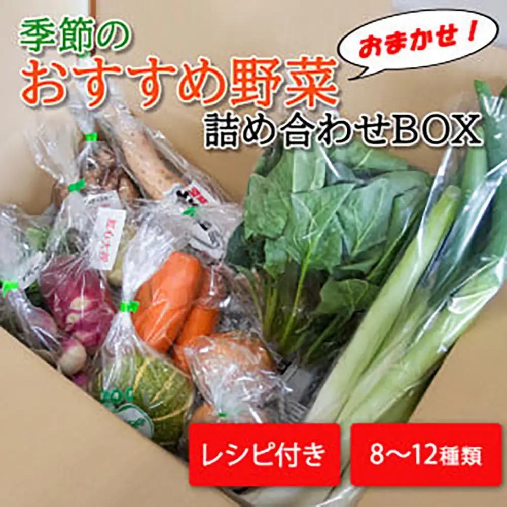 季節のおすすめ野菜おまかせ詰め合わせBOX 8種～12種類 通常サイズ【16101】