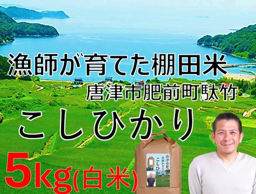 
                  漁師「睦丸」がつくった棚田米　こしひかり（白米）5kg
                