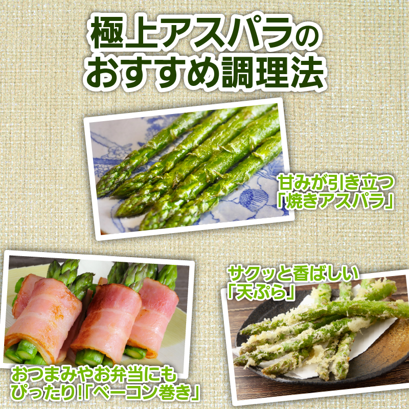 先行予約 紫入りアスパラ レギュラーと太め混合 １㎏ 朝採れ 新鮮 令和7年産 アスパラ アスパラガス 甘い 太い 柔らかい 特産品 野菜 春野菜 星野農園 新潟 新潟県 新発田産 新発田市 hosh