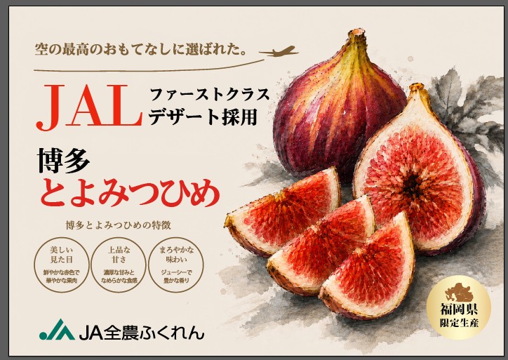A1361.九州・福岡フルーツ王国より直送.いちじく（とよみつ姫）約1kg／2026年8月～9月配送【とよみつひめ】