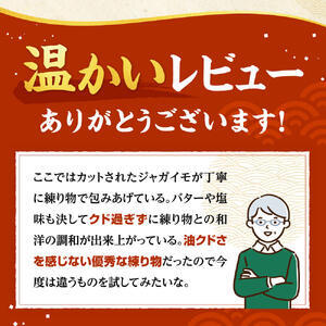 特選・魚万 さつま揚げセット さつま揚げ かまぼこ 加工食品 さつま揚げ かまぼこ 加工食品 さつま揚げ かまぼこ 加工食品 さつま揚げ かまぼこ 加工食品 さつま揚げ かまぼこ 加工食品 17-00