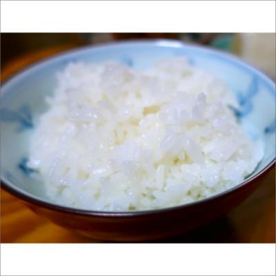 ふるさと納税 京丹後市 2025年産 京丹後産生物多様性米コシヒカリ「ゲンゴロウ郷の米」5kg箱入 おいしいお米 |  | 03