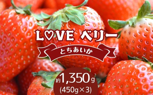 【2027年 先行予約受付中！】♡LOVE ベリー【とちあいか 1,350g】