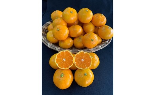 【数量限定】【赤秀特選品】有田みかん２Sサイズ約10㎏ CC01