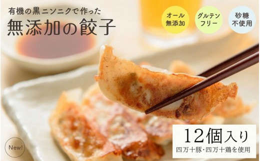 黒 にんにく と 四万十豚 で作った 最高級餃子 （ 6個入り × 2 パック ） 餃子 ギョーザ 焼き餃子 やきぎょうざ ぎょーざ こだわり 大容量 冷凍 冷凍餃子 簡単 調理 簡単調理 惣菜 冷凍食品 おかず 弁当 中華 中華料理 料理 プレゼント ギフト 贈り物 高知県 須崎市 EA0311_２ｘ