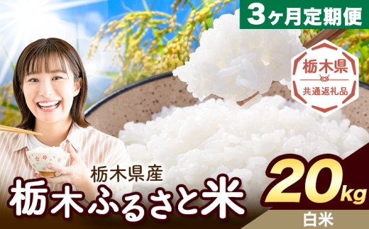 【3ヶ月定期便】米 栃木 ふるさと米 白米 20kg (5kg×4袋)《翌月より出荷開始》栃木県 野木町 米 国産 お米 おこめ お弁当 おにぎり【栃木県共通返礼品】