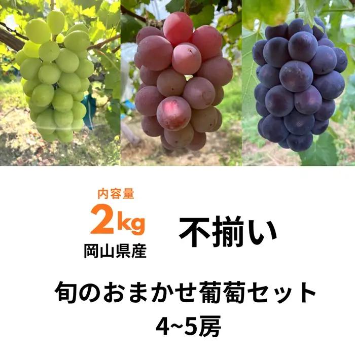 ぶどう食べ比べセット 4～5房 2.0kg 訳あり 不揃い 家庭用 旬 岡山県産