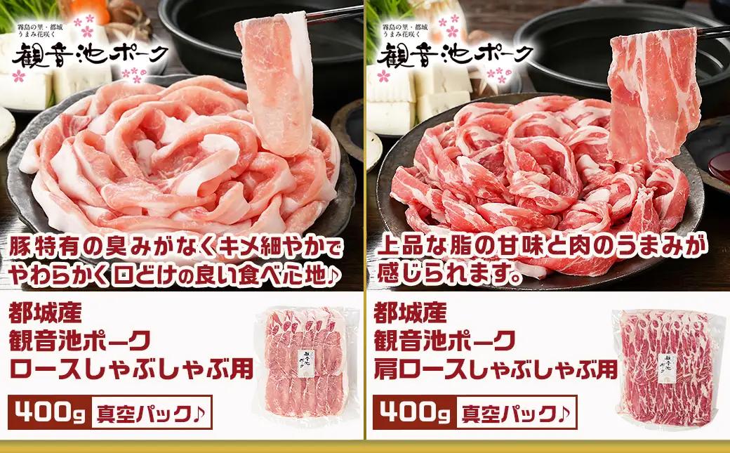 豚肉バラエティ6種4.1kgセット※訳あり入り〔AC-9218〕_(都城市) 都城産豚 観音池ポーク ロース・肩ロースしゃぶしゃぶ用/ミンチ/スペアリブ/【訳あり】ロースとんかつ用 訳あり 宮崎県産豚