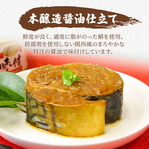 サバ缶 3種12缶 缶詰 ごはんのお供 常温保存 備蓄 サバ缶