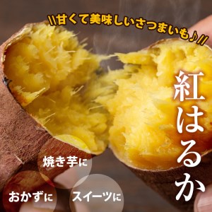 s088 ≪先行予約受付中！2025年11月上旬より順次発送予定≫《期間限定》鹿児島県産紅はるか生芋(10kg) 鹿児島 お芋 生芋 べにはるか 紅はるか さつまいも サツマイモ 薩摩芋 焼き芋 おか