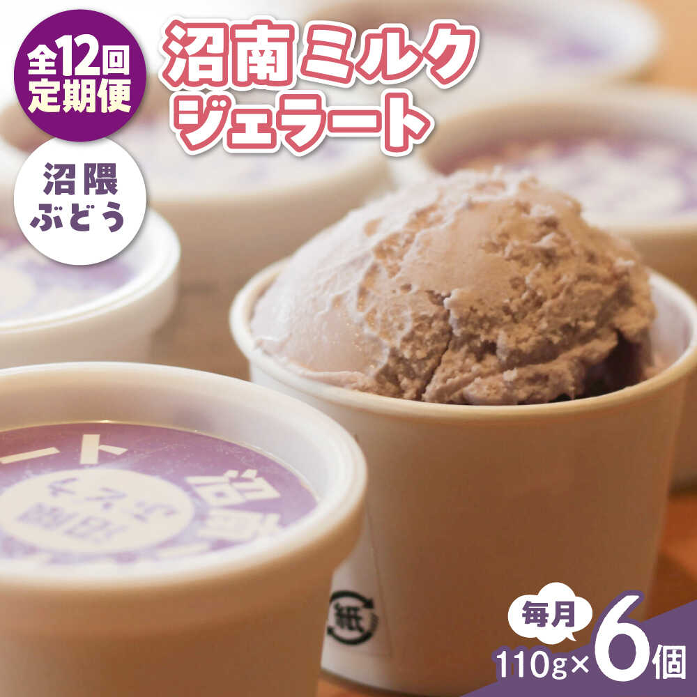 【ふるさと納税】【全12回定期便】沼南ミルクジェラート 沼隈ぶどう 6個 アイス ぶどう アイス アイスクリーム デザート スイーツ ご当地 おすすめ 人気 ひんやりスイーツ お取り寄せグルメ 詰め合わせ セット ギフト 贈り物 定期便 広島県福山市/甚ごろう[BAEC044]
