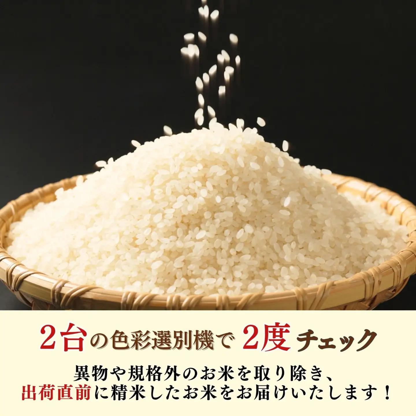 《2026年10月開始》【定期便5㎏×6回】こしひかり 豊米