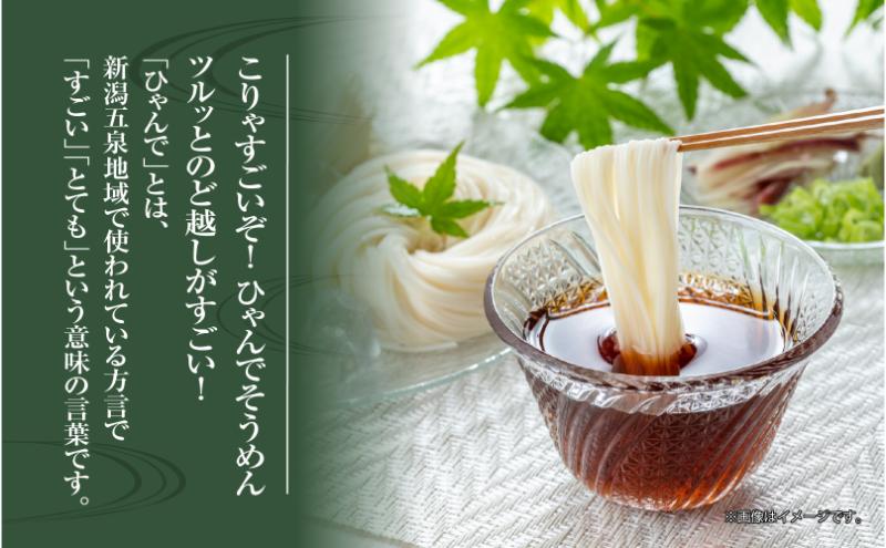 ひゃんで そうめん 600g 8袋 約48人前 素麺 ソーメン 干しそう