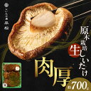 【ふるさと納税】愛知県 知多市産 原木生椎茸【どんこ】約 700g 生しいたけ 希少 肉厚 しいたけ 秋 旬 秋の味覚 香信しいたけ どんこしいたけ 原木露地栽培 無農薬 栽培 平松 贈答品 希少 特産品 送料無料