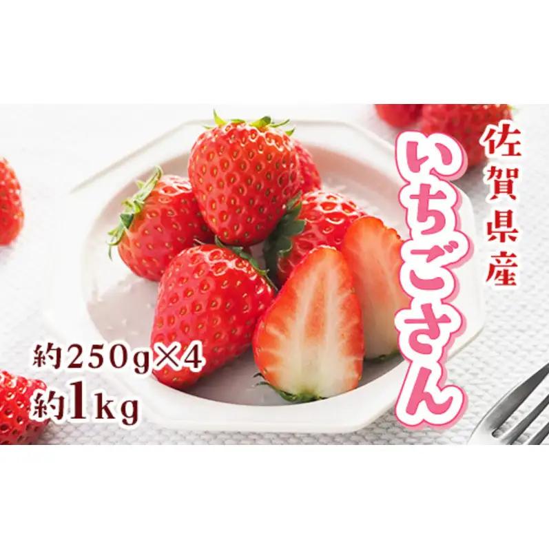 いちご 佐賀県産 いちごさん 約1kg 苺 イチゴ フルーツ 果物 デザート ※配送不可:離島