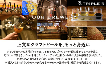 ”極低”アルコール度数2.5%のクラフトビール！ REVO BREWING　SMALL TRIP*12本セット APZ0005
