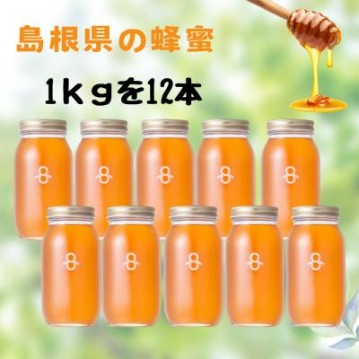 ふるさと納税 江津市 島根の蜂蜜(里山の春)(1kg×12本)