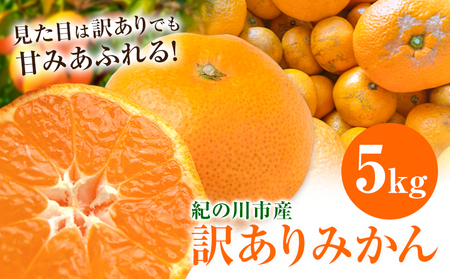 訳ありみかん 5kg こだまファーム