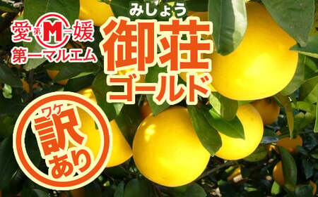 先行予約 訳あり 第一マルエムの御荘ゴールド（河内晩柑）7.5kg 柑橘 フルーツ 愛媛みかん ポンカン 文旦 河内晩柑 温州みかん ブラッド オレンジ ネーブル せとか なつみ 蜜柑 みかん 檸檬 果物 果実 ジューシー 数量限定 さっぱり 愛媛県 愛南町