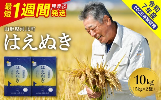 【令和7年産米】※最短1週間程度発送※ はえぬき10kg（5kg×2袋） 山形県産 【米comeかほく協同組合】 ka024-045d-010-r7