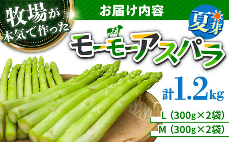 【先行予約】モーモーアスパラ夏芽 L・M 1.2kg（6月中旬より順次発送） 食べやすい太さの2種セット 1.2kg 日田市 / 有限会社本川牧場[ARAI038]