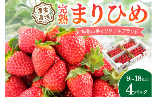 完熟まりひめ（和歌山県オリジナルブランドいちご）9～18粒入×4パック（3月平日）【配送不可地域 北海道 沖縄 離島】 期間限定 苺 イチゴ ケーキ デザート おやつ 果物 フルーツ オリジナルブランド 新鮮 柔らかい 甘い 糖度 旨味 食べ応え抜群
