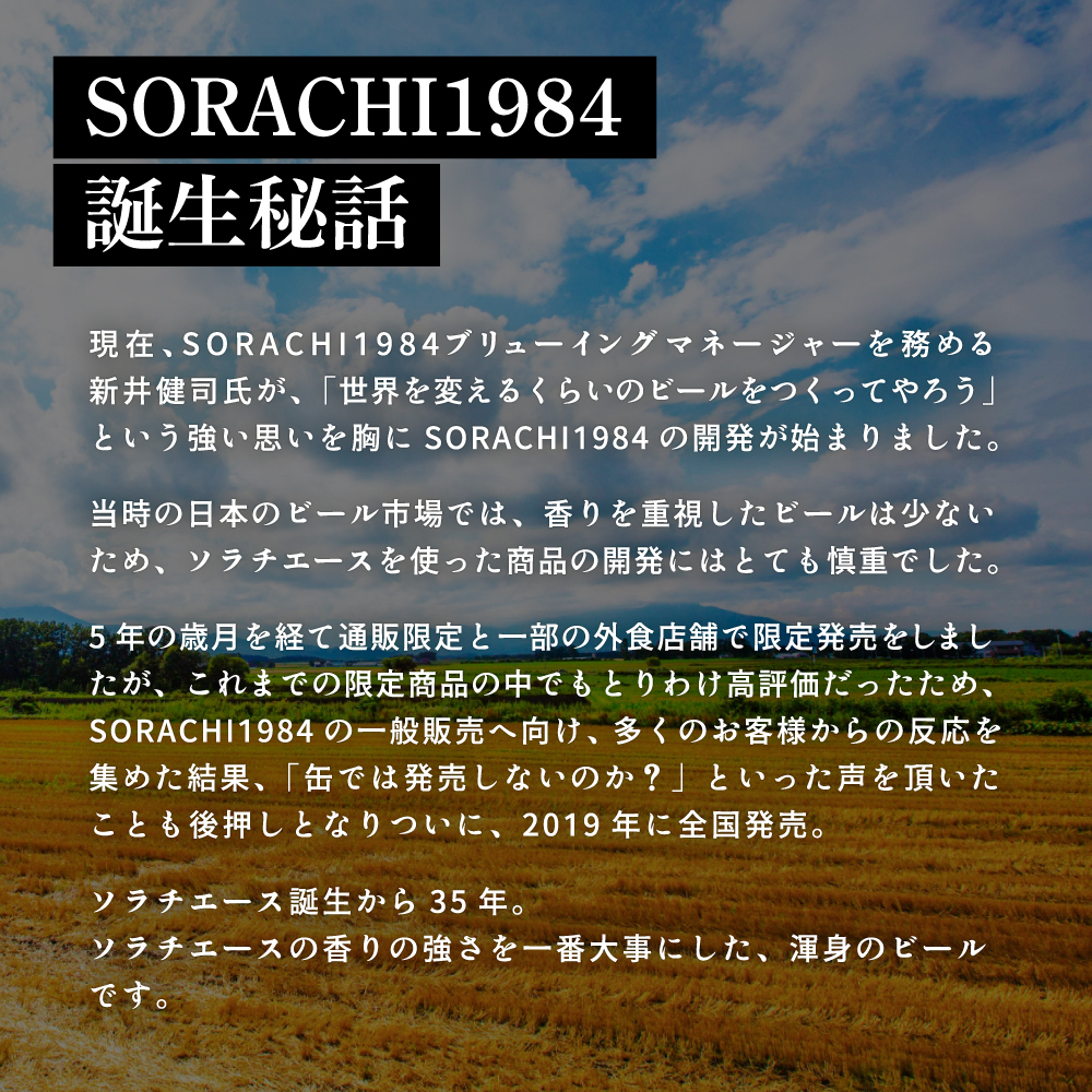 ◆6ヵ月連続お届け定期便◆SORACHI 1984 1箱（350ml×12缶） 株式会社 ヤマイチ 北海道 上富良野町 ソラチ1984 お酒 酒 飲み物 ビール 地ビール サッポロビール サッポロ ギ