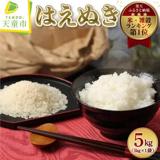 【8月下旬発送】令和7年産 はえぬき 5kg 米 精米 山形