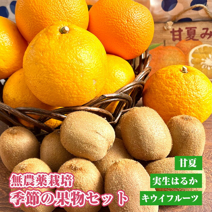 【ふるさと納税】 無農薬栽培　季節の果物セット ／ フルーツ キウイフルーツ 甘夏 実生はるか 詰合せ 送料無料 埼玉県 No.203