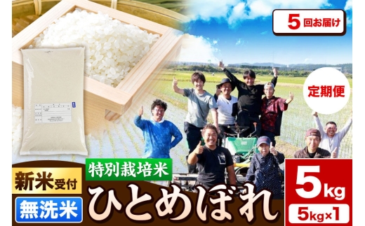 《新米予約》《定期便5ヶ月》令和8年産【無洗米】特別栽培米 ひとめぼれ 5kg 秋田県産 [ひとめぼれ 米 お米 白米 精米 無洗米 特別栽培米 ブランド米 食卓 秋田県産 秋田県 由利本荘市]