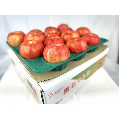 【ふるさと納税】酸味ですっきり! 訳ありサンジョナゴールド　5kg(13～20個入)　2026年11月より発送【配送不可地域：離島】【1495751】