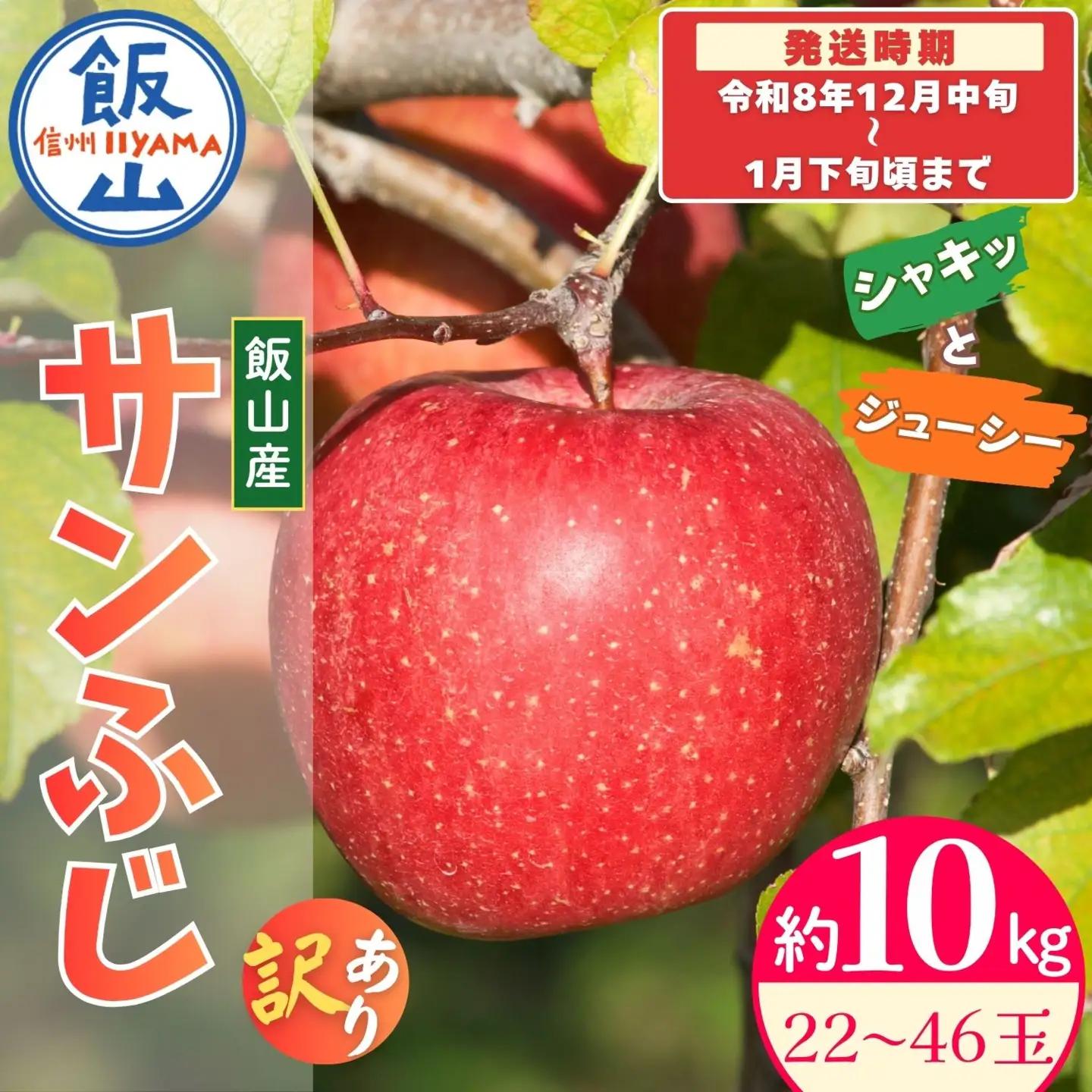 【先行予約│2026年12月中旬より順次発送】訳あり サンふじ 【約10kg(22〜46玉)】│長野県 飯山市 (At-037)