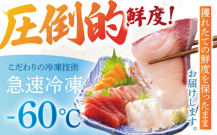 【全12回定期便】【五島の旬】下処理済み 超速冷凍 鮮魚 5種 柵 セット 旬 魚 冷凍 真空 刺身 五島市 / 金沢鮮魚 [PEP021]