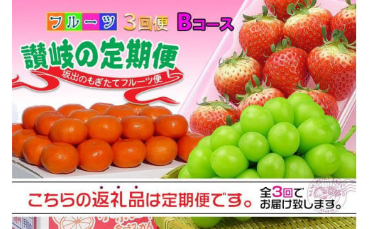 
【定期便3回Bコース】 フルーツ セット 定期便 ( いちご 約250g × 4パック & シャインマスカット 1房 約600g以上 & みかん 約5kg × 3ヶ月 ) ｜産直あきんど 坂出産 創業100年
