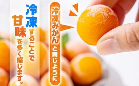 【母の日】内山金柑園のまるかじり氷結きんかん7パック≪5月7日～10日お届け≫_AO-J703-MG_(都城市) 内山金柑園 完熟きんかん 氷結きんかん 急速冷凍 糖度16％以上 シャーベット 10粒