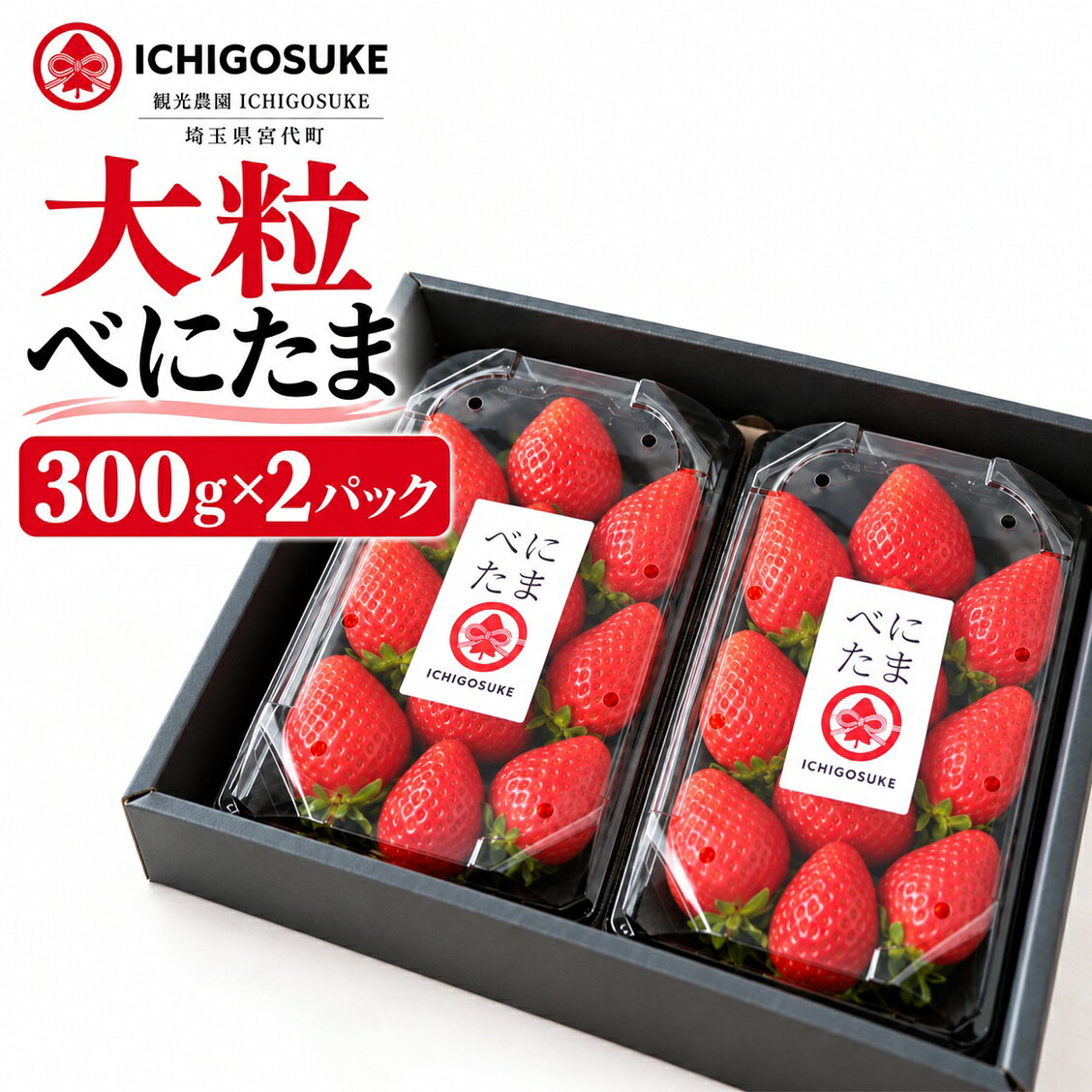 【ふるさと納税】いちご べにたま 300g×2パック 楽天限定 | 苺 イチゴ 大粒 埼玉県産 紅玉 ベニタマ オリジナル いちご ブランド苺 イチゴ フルーツ 甘い お取り寄せいちご フレッシュ ストロベリー 果物 くだもの フルーツ デザート 観光農園ICHIGOSUKE 埼玉県 宮代町
