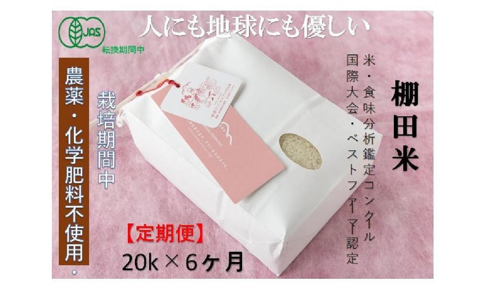 【2025年産新米】【6ヶ月定期便】【有機JAS認証米】魚沼コシヒカリ 苗場プリンセス・プレミアム 精米 20kg (20kg×1袋) 計120kg127523-050