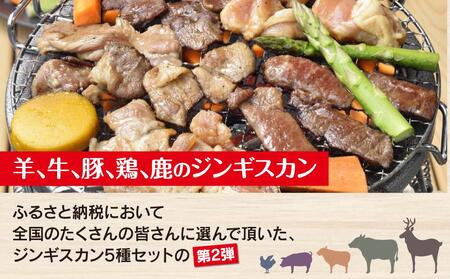 日乃出食品 社長がこだわった 「ジンギスカン食べ比べ5種セット2.5kg」 第2弾(羊・牛・豚・鶏・鹿肉使用) 【 焼肉 肉 焼き肉 小分け 焼肉用 焼肉セット 北海道 羊肉 牛肉 豚肉 鶏肉 鹿肉 