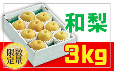 ★フルーツ王国山形★和梨 秀品3kg 【令和7年産先行予約】FU20-063 くだもの 果物 フルーツ 山形 山形県 山形市 2025年産