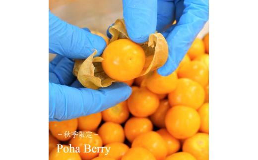 あいす アイスクリーム 130ml × 6個 季節おすすめ セット アイスセット 手作り アイス ice aisu ドルチェ 旬 季節 おすすめ オススメ お楽しみ フレーバー 食べ比べ スイーツ デ