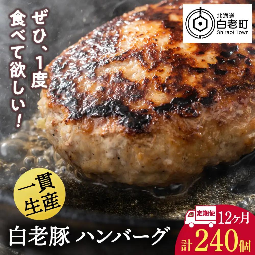 【定期便 12カ月】 北海道産 白老豚 ハンバーグ 120ｇ×20個 セット BV039