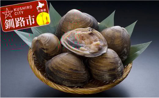 【天然!!!】活北寄貝4.0kg前後 ふるさと納税 ホッキ 北寄 F4F-0398