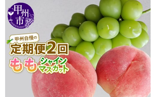 【定期便】甲州自慢の桃＋シャインマスカット定期便【2026年発送】（NK）C-421 【桃 もも モモ シャインマスカット 葡萄 ぶどう 令和8年発送 期間限定 山梨県産 甲州市 フルーツ 果物】
