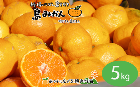 【11月下旬頃～1月中旬頃に発送予定】温州みかん 5kg 愛媛 中島産 希望の島 家庭用 みかん 柑橘【FT104】